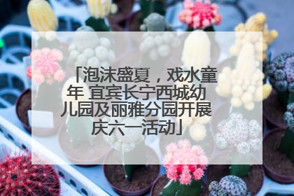 泡沫盛夏，戏水童年 宜宾长宁西城幼儿园及丽雅分园开展庆六一活动