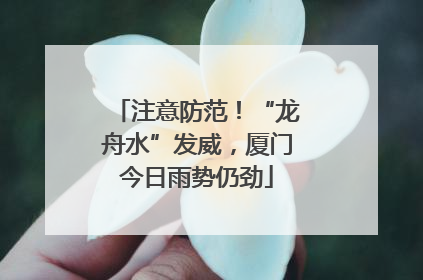 注意防范！“龙舟水”发威，厦门今日雨势仍劲