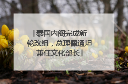 泰国内阁完成新一轮改组，总理佩通坦兼任文化部长