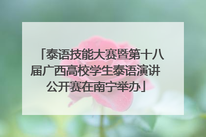 泰语技能大赛暨第十八届广西高校学生泰语演讲公开赛在南宁举办