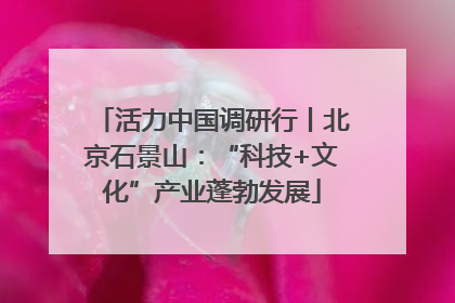 活力中国调研行丨北京石景山：“科技+文化”产业蓬勃发展