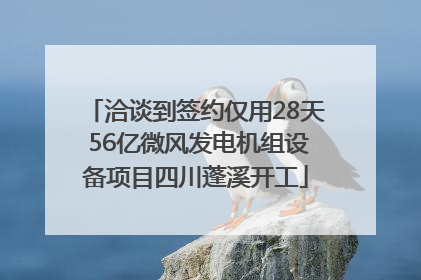 洽谈到签约仅用28天 56亿微风发电机组设备项目四川蓬溪开工