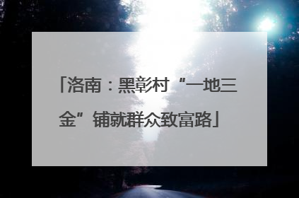洛南：黑彰村“一地三金”铺就群众致富路