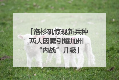 洛杉矶惊现新兵种 两大因素引爆加州“内战”升级