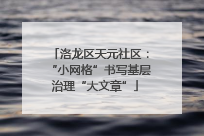 洛龙区天元社区：“小网格”书写基层治理“大文章”
