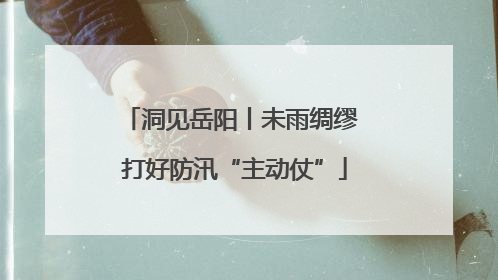 洞见岳阳丨未雨绸缪 打好防汛“主动仗”