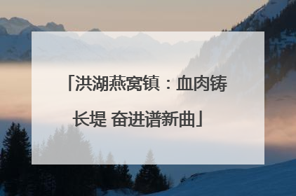 洪湖燕窝镇：血肉铸长堤 奋进谱新曲