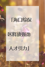 海口综保区释放强劲人才引力