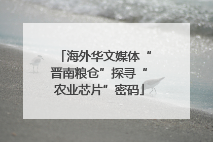 海外华文媒体“晋南粮仓”探寻“农业芯片”密码