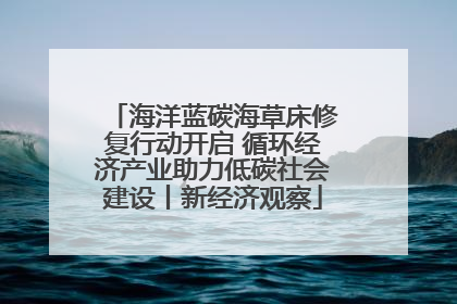 海洋蓝碳海草床修复行动开启 循环经济产业助力低碳社会建设丨新经济观察