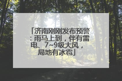 济南刚刚发布预警：雨马上到，伴有雷电、7~9级大风，局地有冰雹