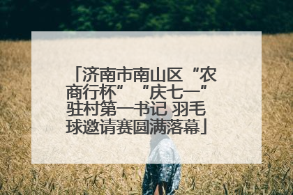 济南市南山区“农商行杯”“庆七一”驻村第一书记 羽毛球邀请赛圆满落幕