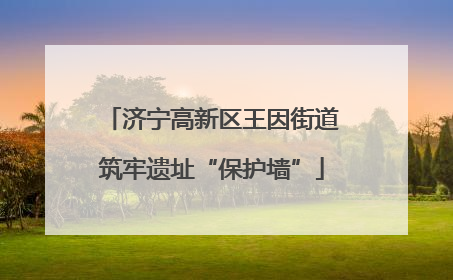 济宁高新区王因街道筑牢遗址“保护墙”