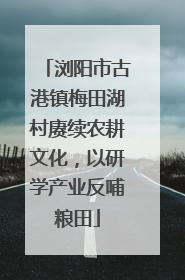 浏阳市古港镇梅田湖村赓续农耕文化，以研学产业反哺粮田