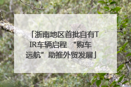 浙南地区首批自有TIR车辆启程 “购车远航”助推外贸发展