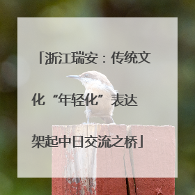 浙江瑞安：传统文化“年轻化”表达 架起中日交流之桥