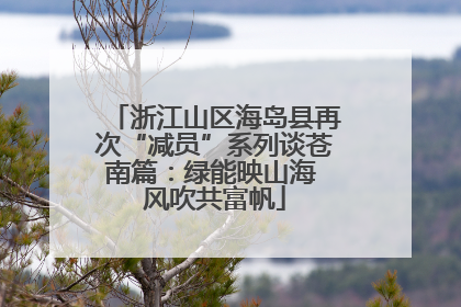 浙江山区海岛县再次“减员”系列谈苍南篇：绿能映山海 风吹共富帆