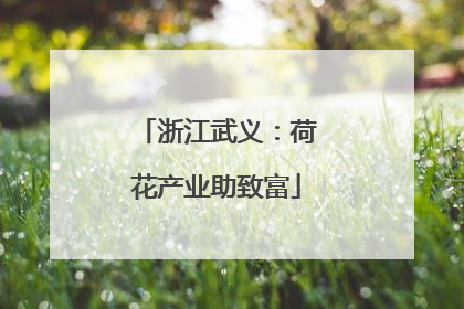 浙江武义：荷花产业助致富