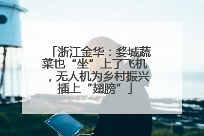 浙江金华：婺城蔬菜也“坐”上了飞机，无人机为乡村振兴插上“翅膀”