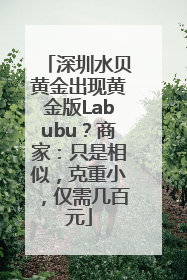 深圳水贝黄金出现黄金版Labubu？商家：只是相似，克重小，仅需几百元