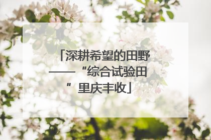 深耕希望的田野——“综合试验田”里庆丰收
