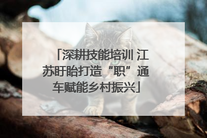 深耕技能培训 江苏盱眙打造“职”通车赋能乡村振兴