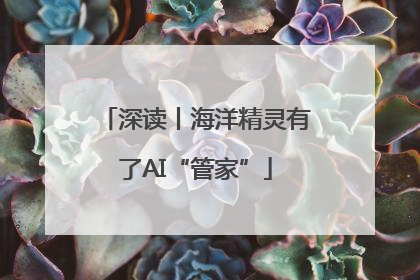 深读丨海洋精灵有了AI“管家”