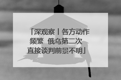 深观察丨各方动作频繁  俄乌第二次直接谈判前景不明