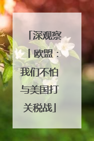 深观察丨欧盟：我们不怕与美国打关税战