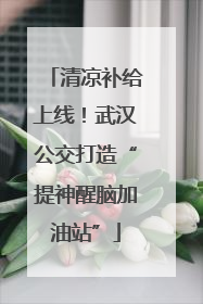 清凉补给上线！武汉公交打造“提神醒脑加油站”