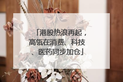 港股热浪再起，高瓴在消费、科技、医药同步加仓