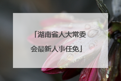 湖南省人大常委会最新人事任免