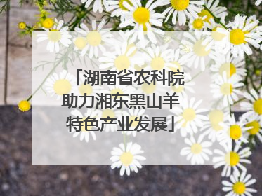湖南省农科院助力湘东黑山羊特色产业发展