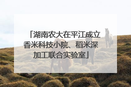 湖南农大在平江成立香米科技小院、稻米深加工联合实验室