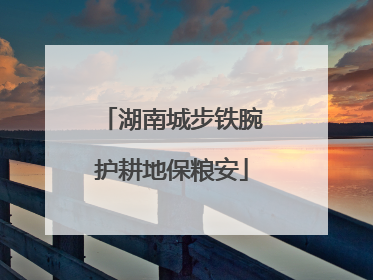 湖南城步铁腕护耕地保粮安