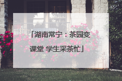 湖南常宁：茶园变课堂 学生采茶忙