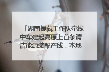 湖南援藏工作队牵线中车建起高原上首条清洁能源装配产线，本地大学生成车间检验员