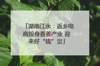 湖南江永：返乡电商投身香姜产业 迎来好“钱”景