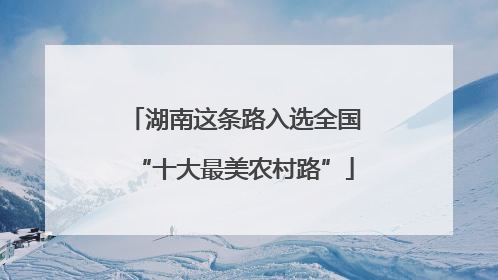 湖南这条路入选全国“十大最美农村路”