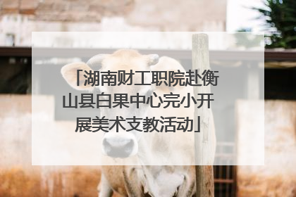 湖南财工职院赴衡山县白果中心完小开展美术支教活动