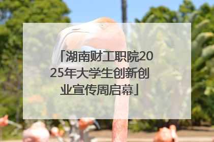 湖南财工职院2025年大学生创新创业宣传周启幕