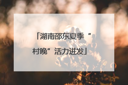 湖南邵东夏季“村晚”活力迸发