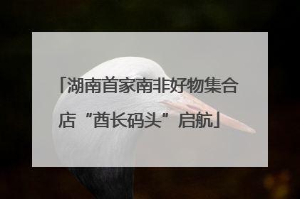 湖南首家南非好物集合店“酋长码头”启航