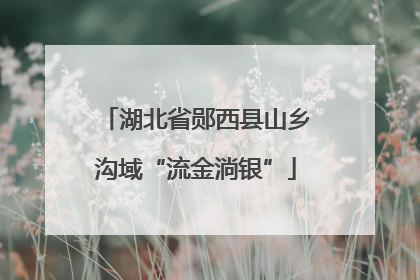 湖北省郧西县山乡沟域“流金淌银”