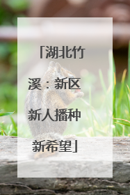 湖北竹溪：新区新人播种新希望