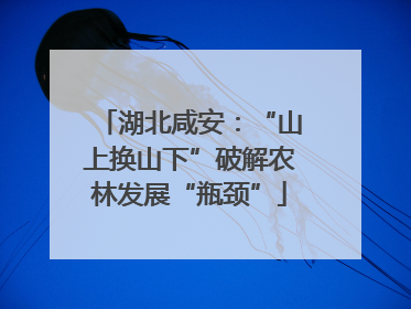 湖北咸安：“山上换山下”破解农林发展“瓶颈”