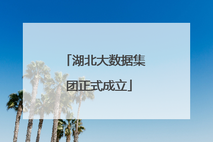 湖北大数据集团正式成立