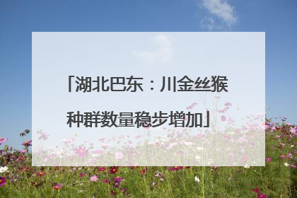 湖北巴东：川金丝猴种群数量稳步增加