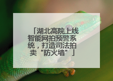 湖北高院上线智能网拍预警系统，打造司法拍卖“防火墙”