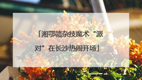 湘鄂赣杂技魔术“派对”在长沙热闹开场